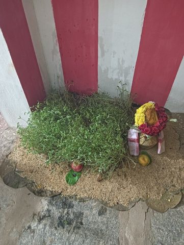Puja photo from Purushothama Sudarshan Iyengar